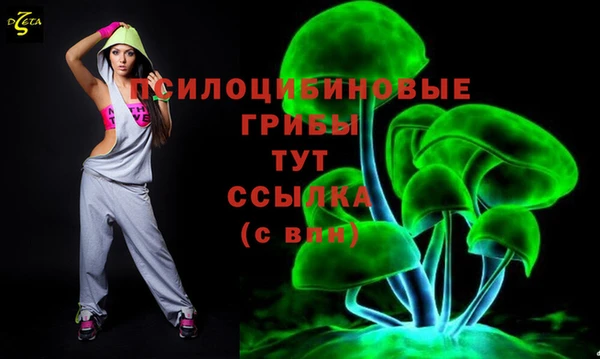 каннабис Каменногорск