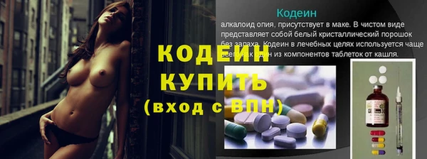 apvp Каменка