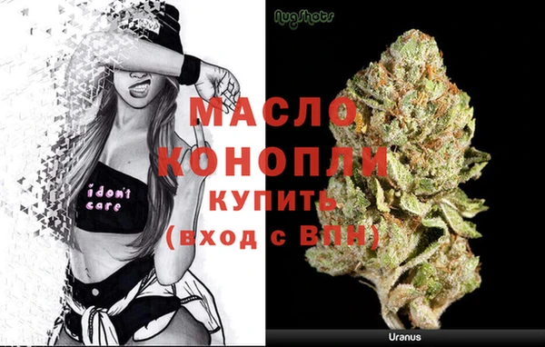 apvp Каменка