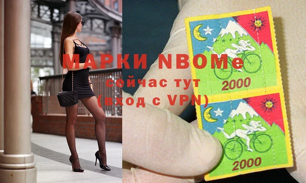 apvp Каменка