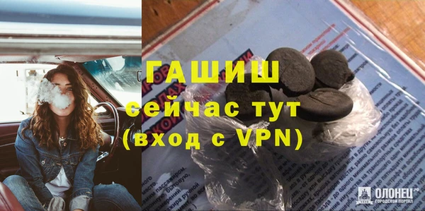 apvp Каменка