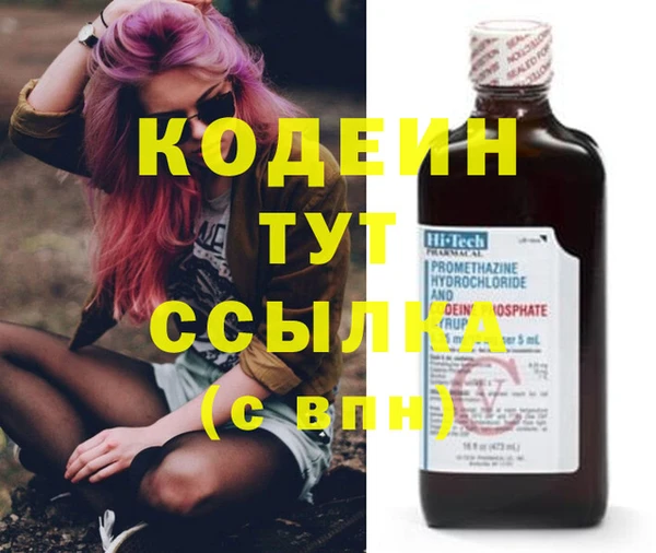 apvp Каменка