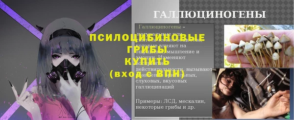 каннабис Каменногорск