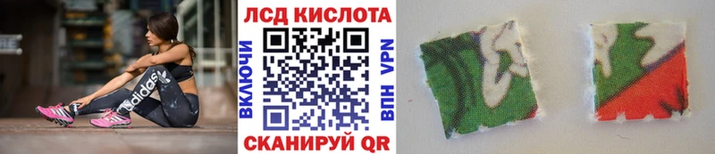 Марки N-bome 1,8мг  Купить закладки  Щигры 