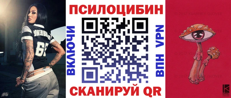 Купить  Щигры  Галлюциногенные грибы Psilocybine cubensis 